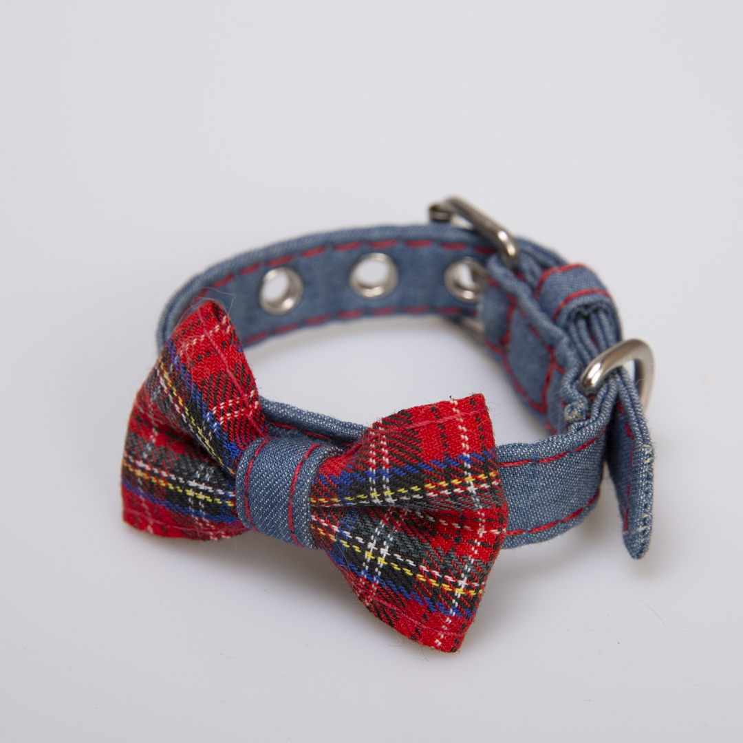 COLLAR PARA PERRO JEAN Y LAZO ESCOCÉS - Imagen 4